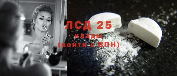 шишки Горно-Алтайск