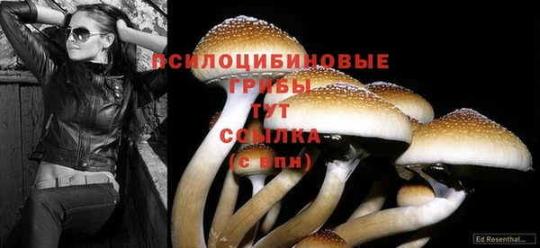 таблы Горнозаводск