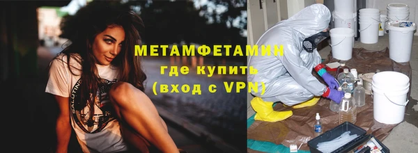 шишки Горно-Алтайск