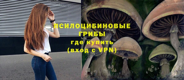 шишки Горно-Алтайск