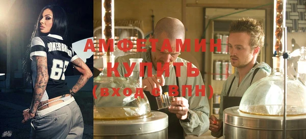 шишки Горно-Алтайск