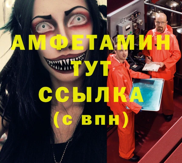 ПСИЛОЦИБИНОВЫЕ ГРИБЫ Горняк